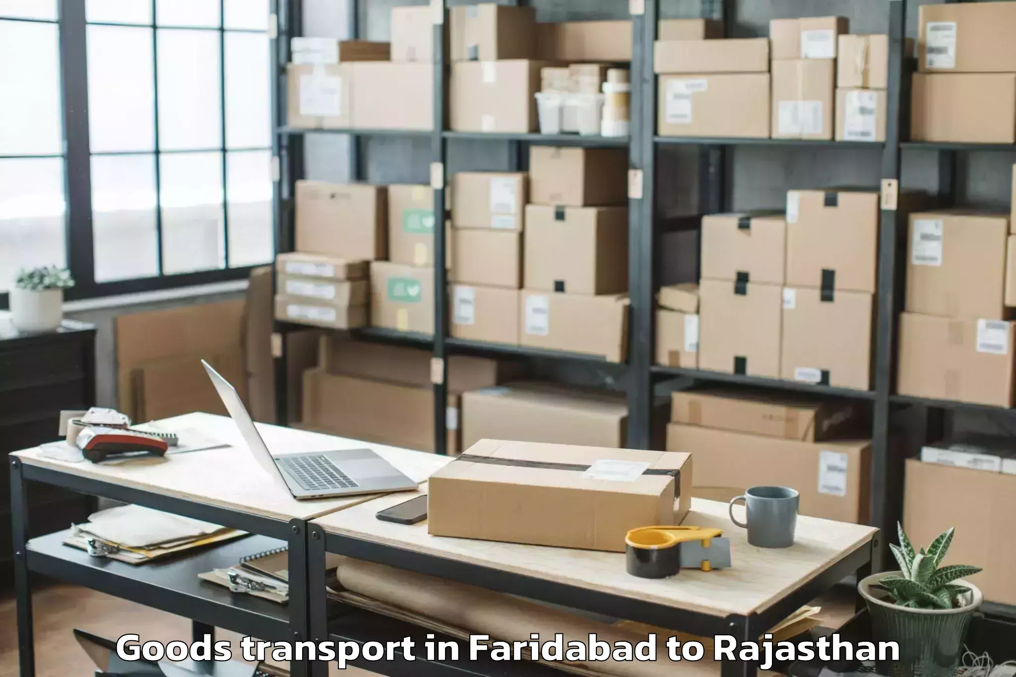 Expert Faridabad to Bagidora Goods Transport